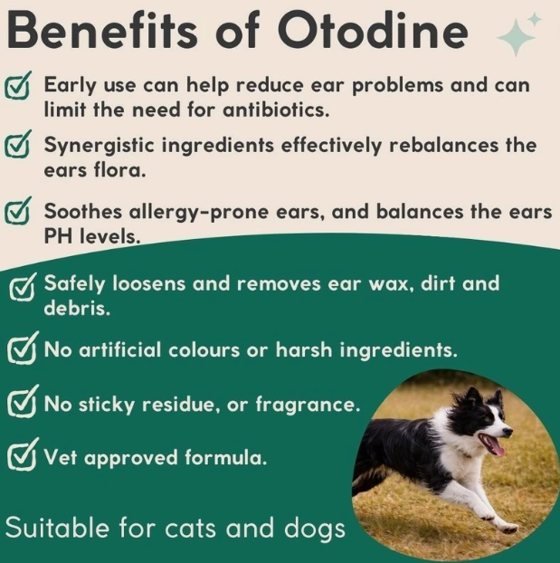 Otodine Ear Cleansing Solution 100ml