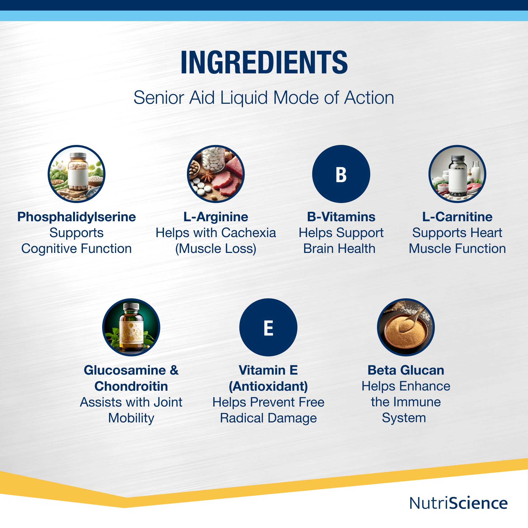 Senior Aid  50ml