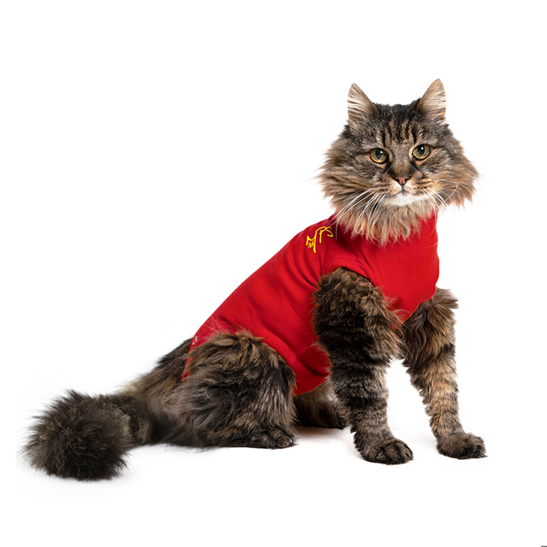 Medical Pet Shirts for Cats