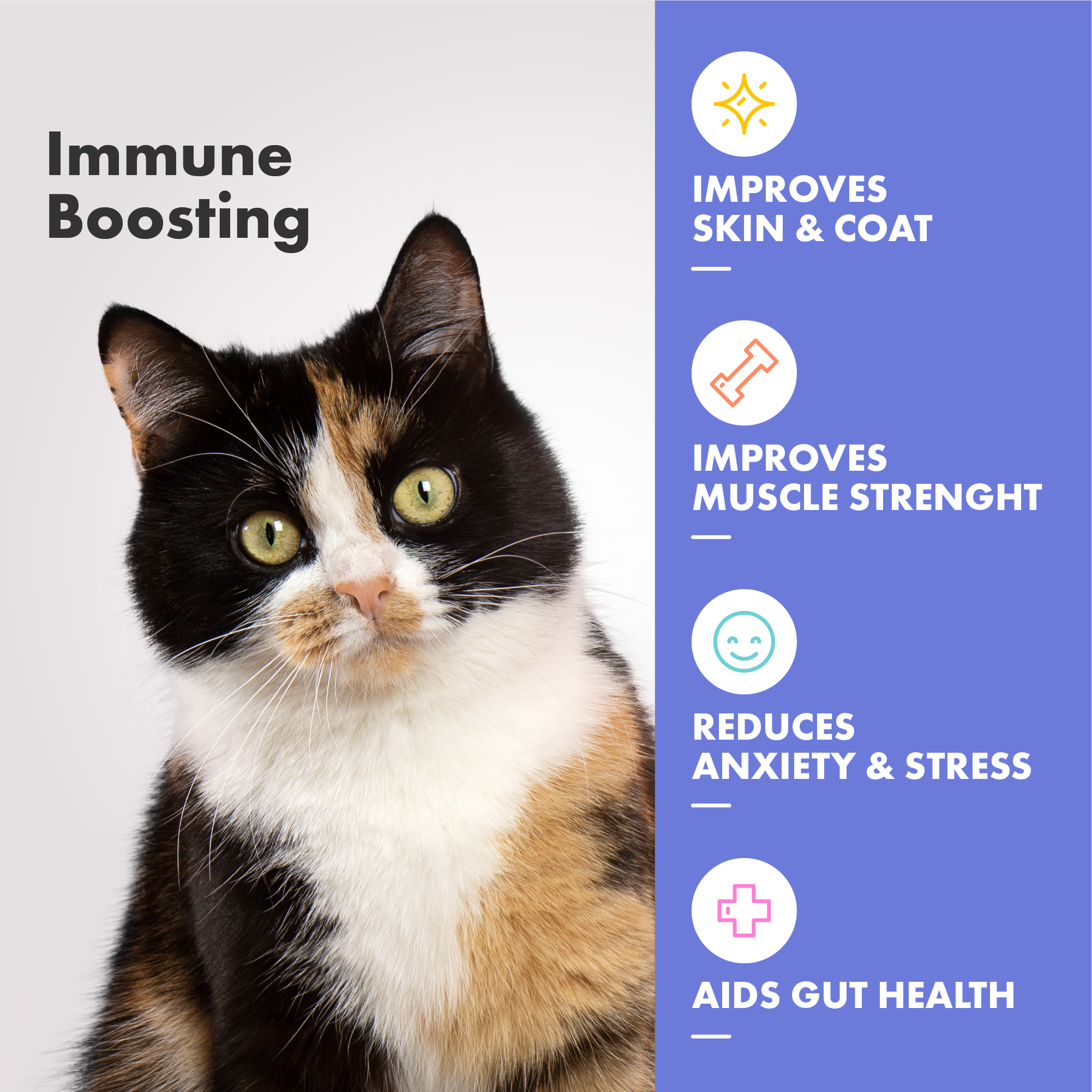 Multi-fit Cat Multivitamins