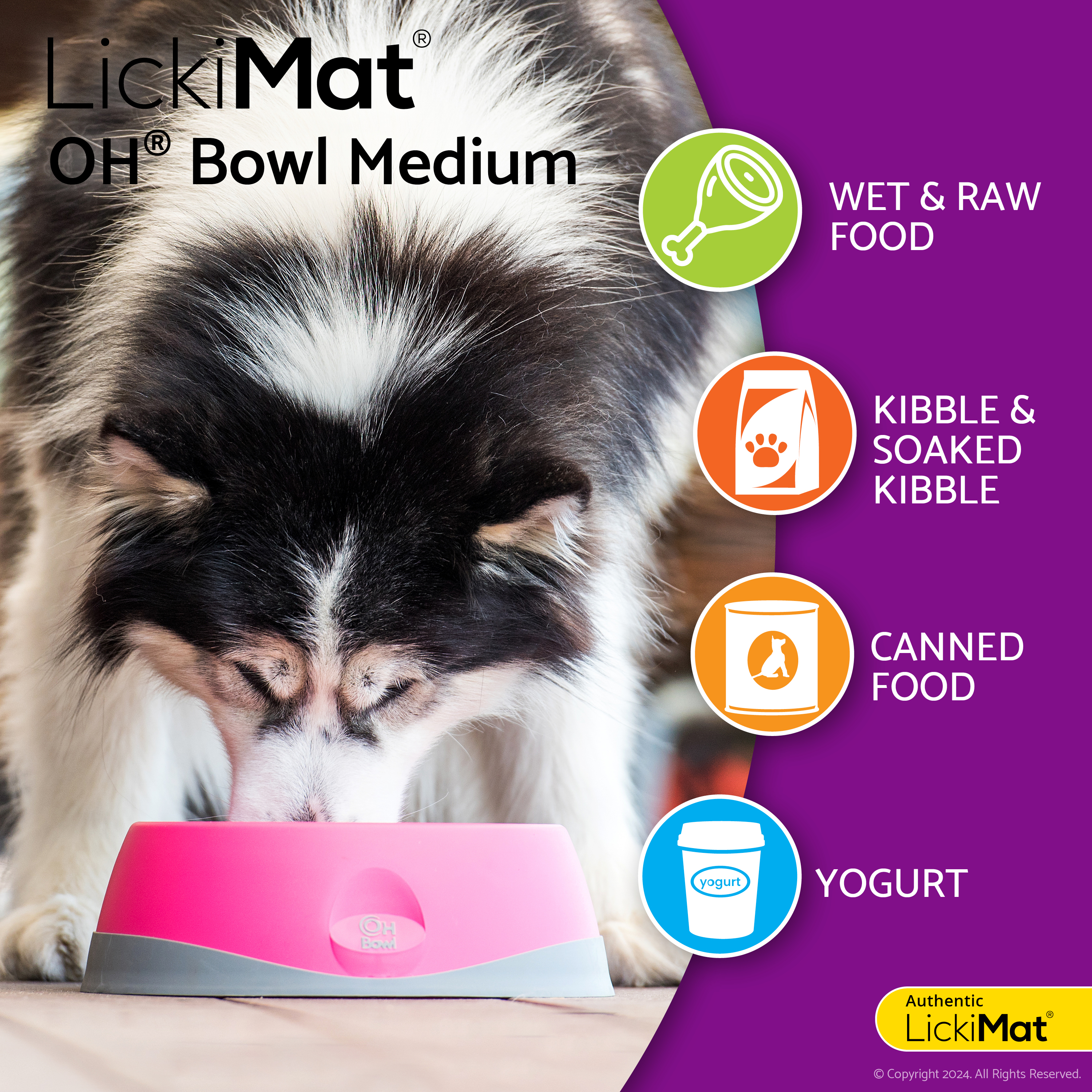 Lickimat OH Bowl Dog