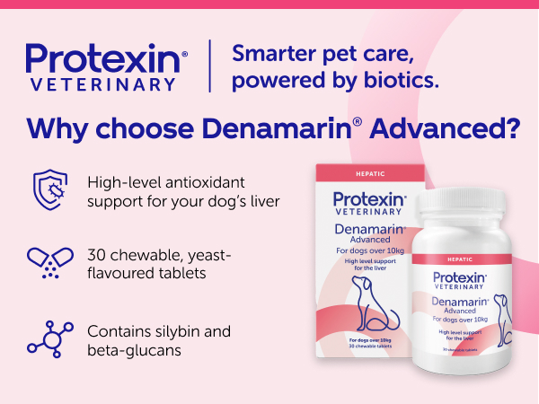 Denamarin Advanced