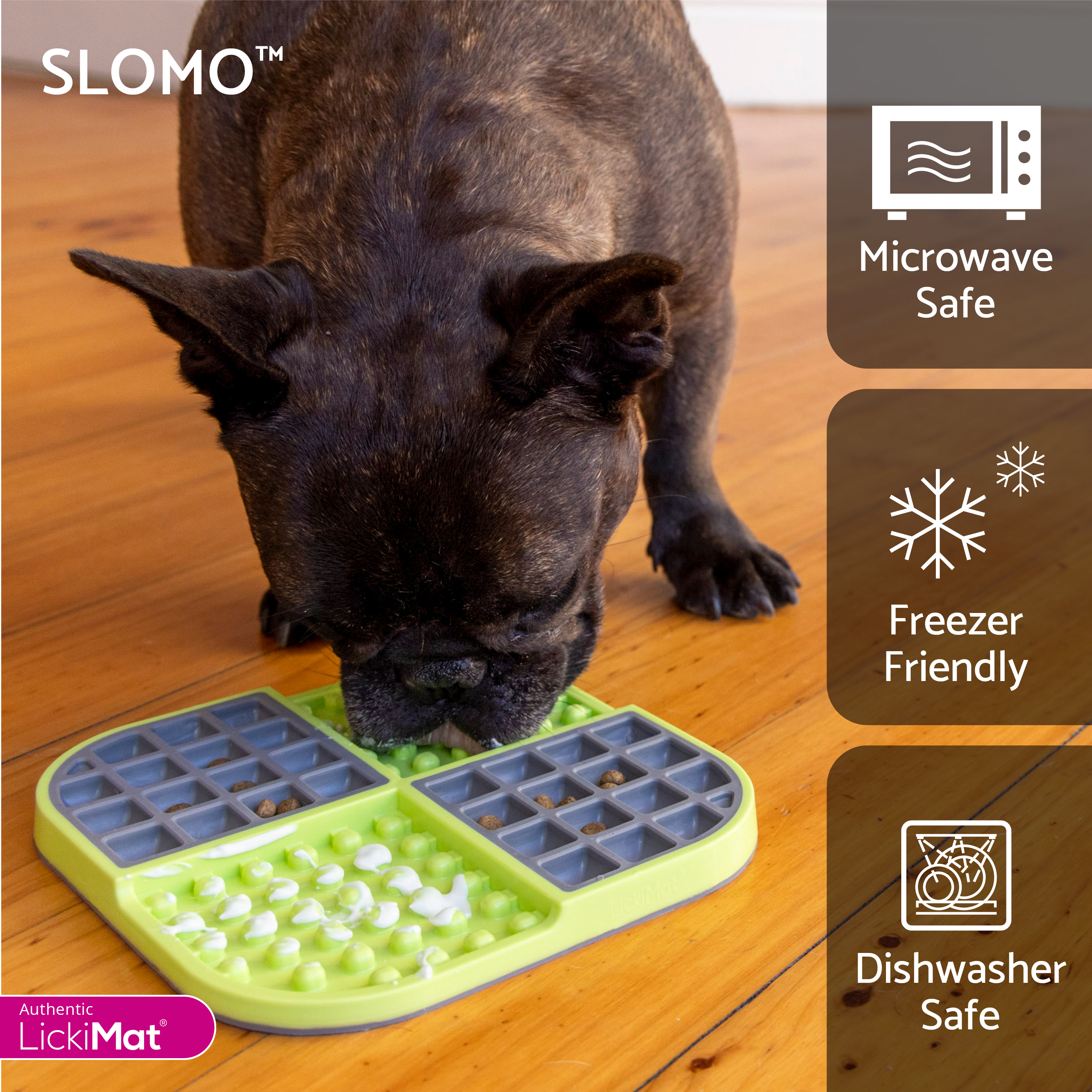 Slomo Dog