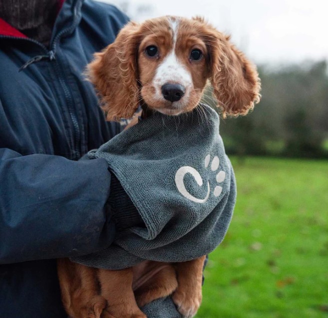 Muddy Dog Towel