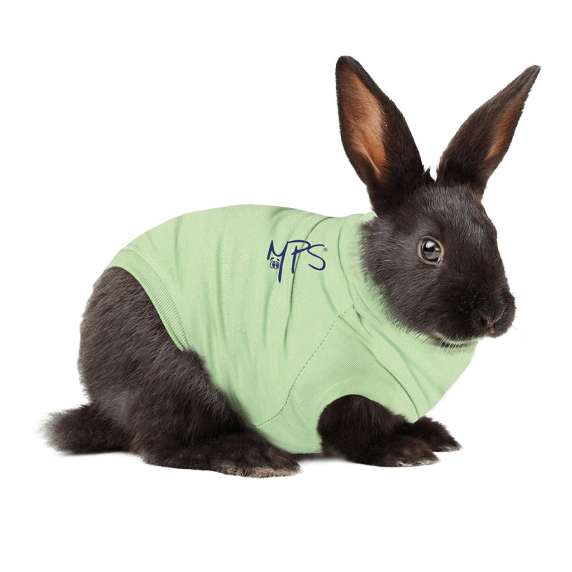 Medical Pet Short for Rabbits