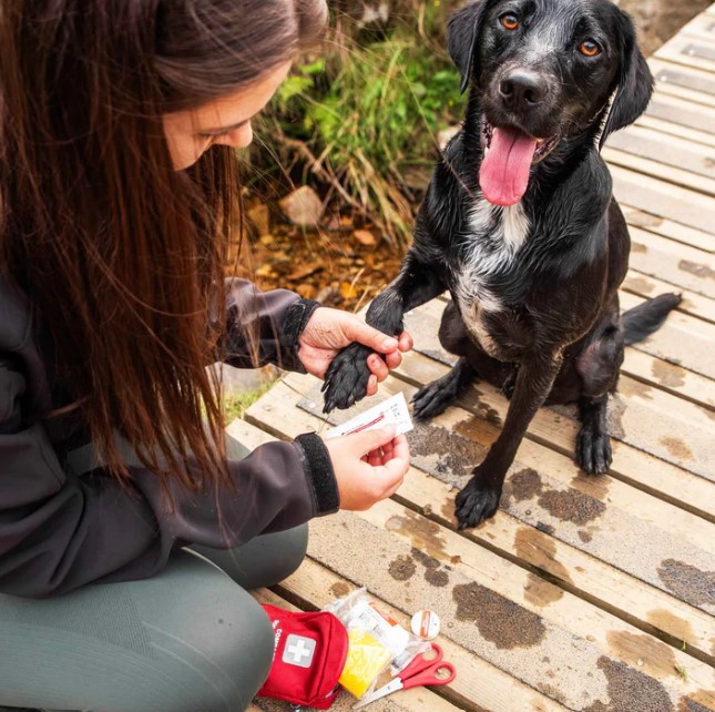 Compact Dog First Aid Kit