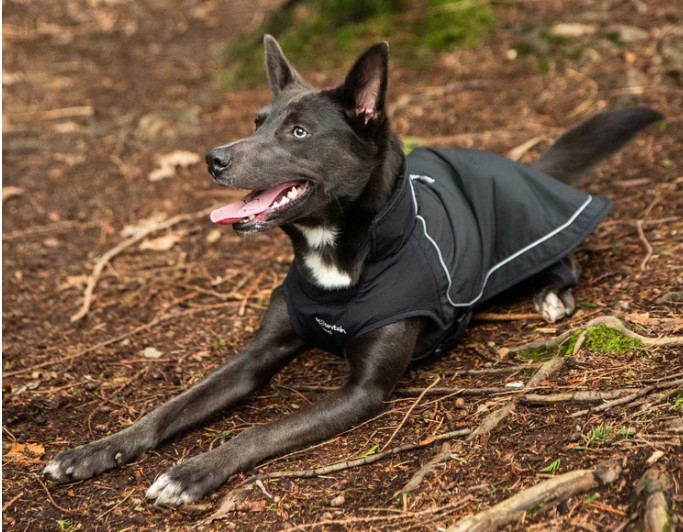 Fleece-Lined Dog Raincoat